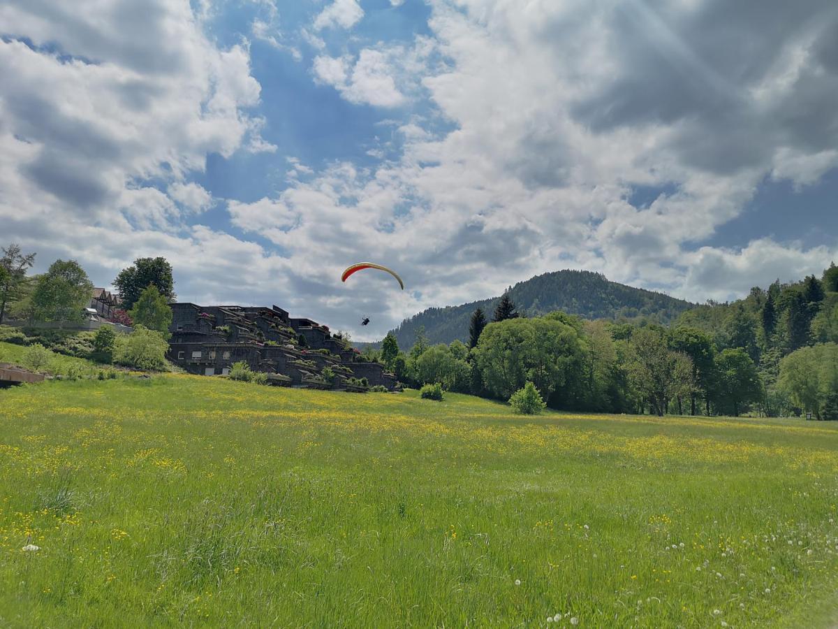 Appartement Herrlich Bad Wildbad Buitenkant foto