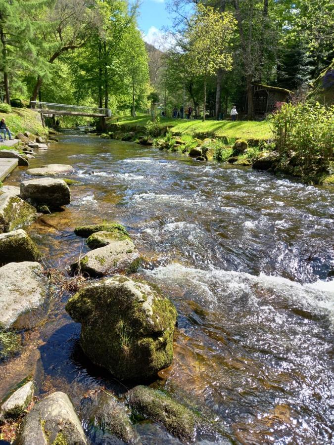 Appartement Herrlich Bad Wildbad Buitenkant foto