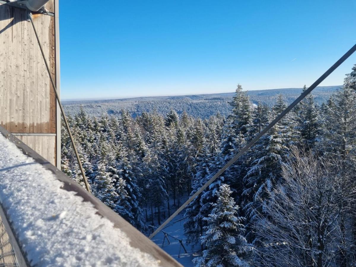 Appartement Herrlich Bad Wildbad Buitenkant foto