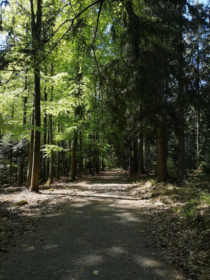 Appartement Herrlich Bad Wildbad Buitenkant foto