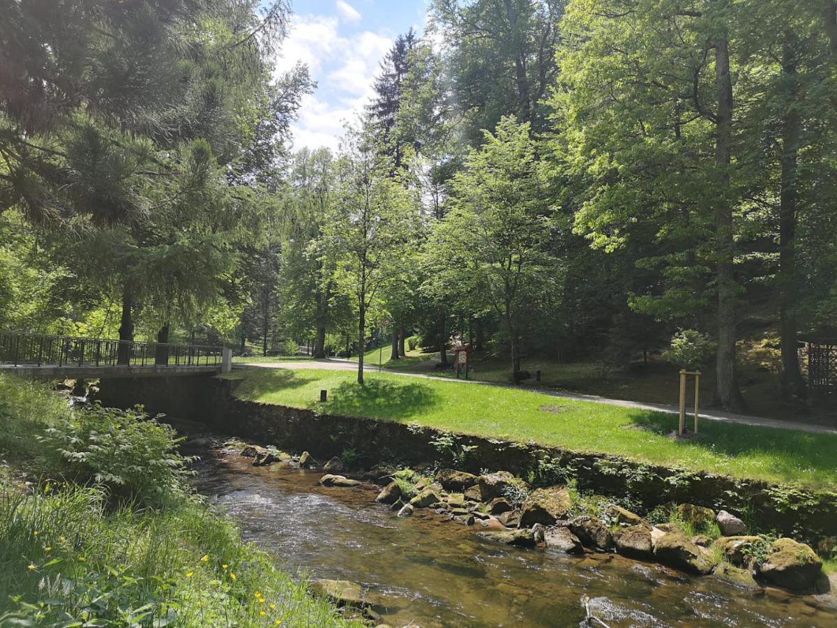 Appartement Herrlich Bad Wildbad Buitenkant foto